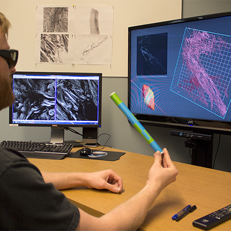 3D exploration of biomedical tissue